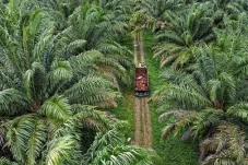 Target Naik Jadi Rp8,42 Triliun, Realisasi Investasi Berau Triwulan I 2026 Tembus Rp1,51 Triliun