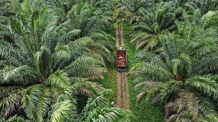 Target Naik Jadi Rp8,42 Triliun, Realisasi Investasi Berau Triwulan I 2026 Tembus Rp1,51 Triliun