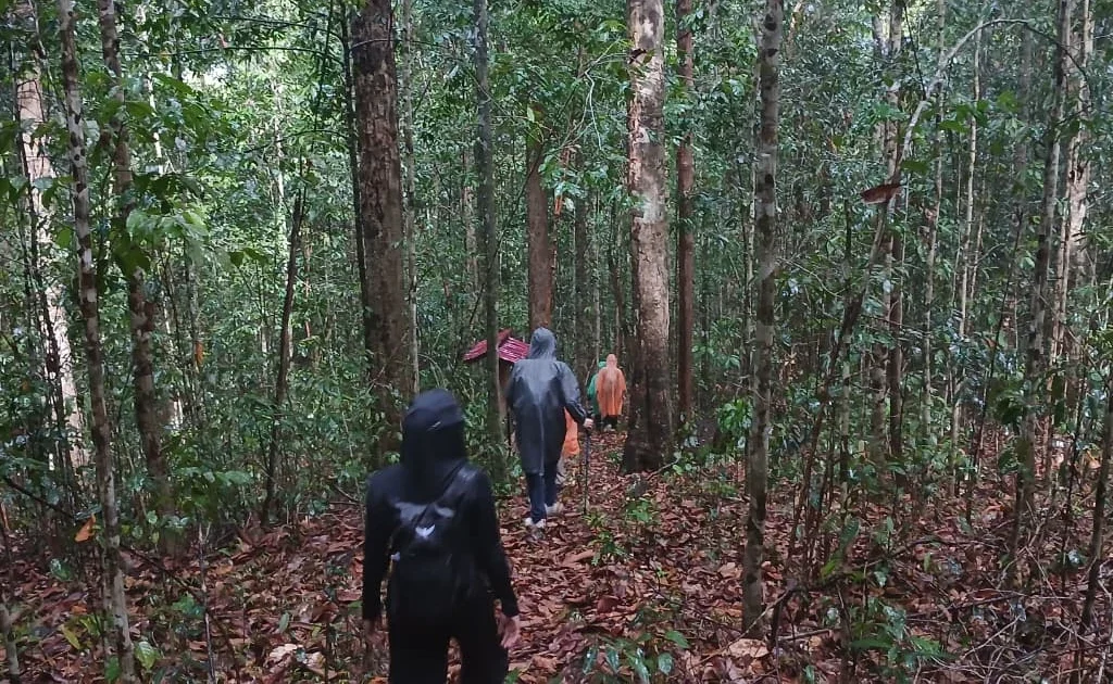 Suasana di dalam Bukit Ruaban saat pendakian Minggu (14/6/2026) (Adrikni/BT)