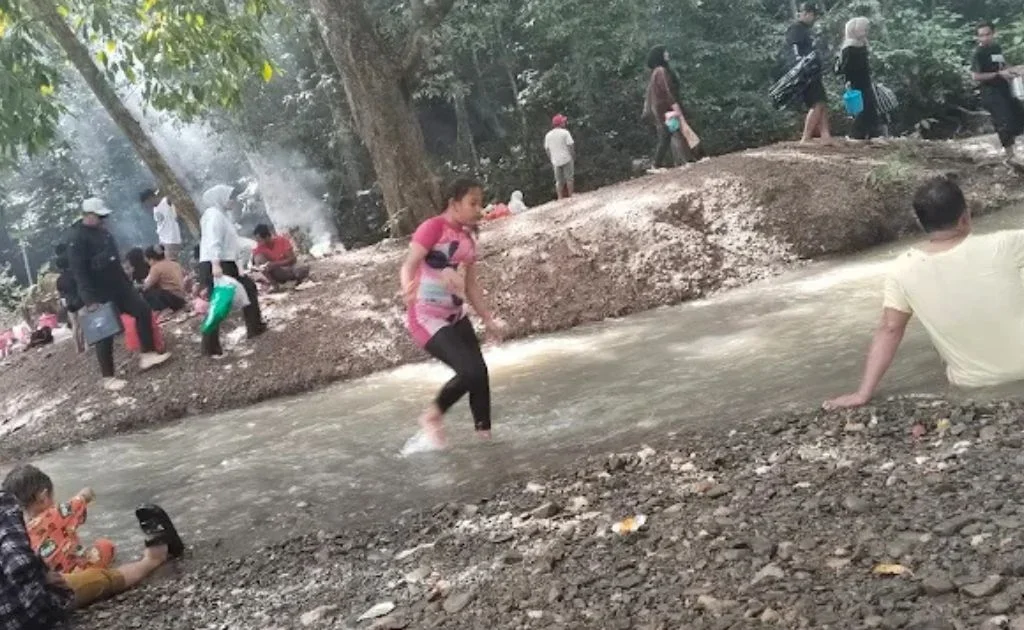 Bawan Batu Merasa Kaltim Berau Kelay