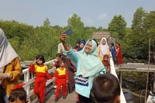 Liburan Murah Meriah di Berau, Wisata Mangrove Tanjung Batu Pilihannya
