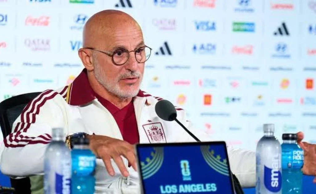 Pelatih Timnas Spanyol Luis de la Fuente