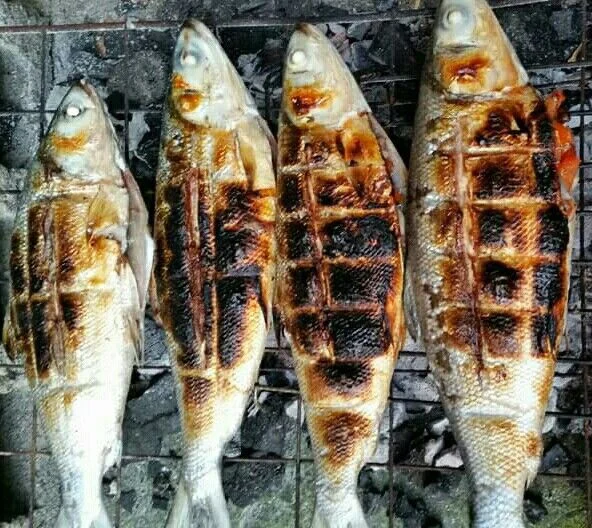 Lewat Keunikan Teknik Memasaknya, Ikan Bakar Tradisional Bisa Jadi Ikon Kuliner Berau