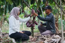 Dari Lahan Tidur Menuju Harapan Baru, Petani 62 Tahun di Gurimbang Bangun Masa Depan Lewat Kakao