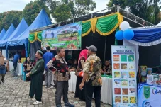 Bantu Ibu-ibu Dapat Sembako Terjangkau, Dinas Pangan Berau Rutin Gelar Gerakan Pangan Murah