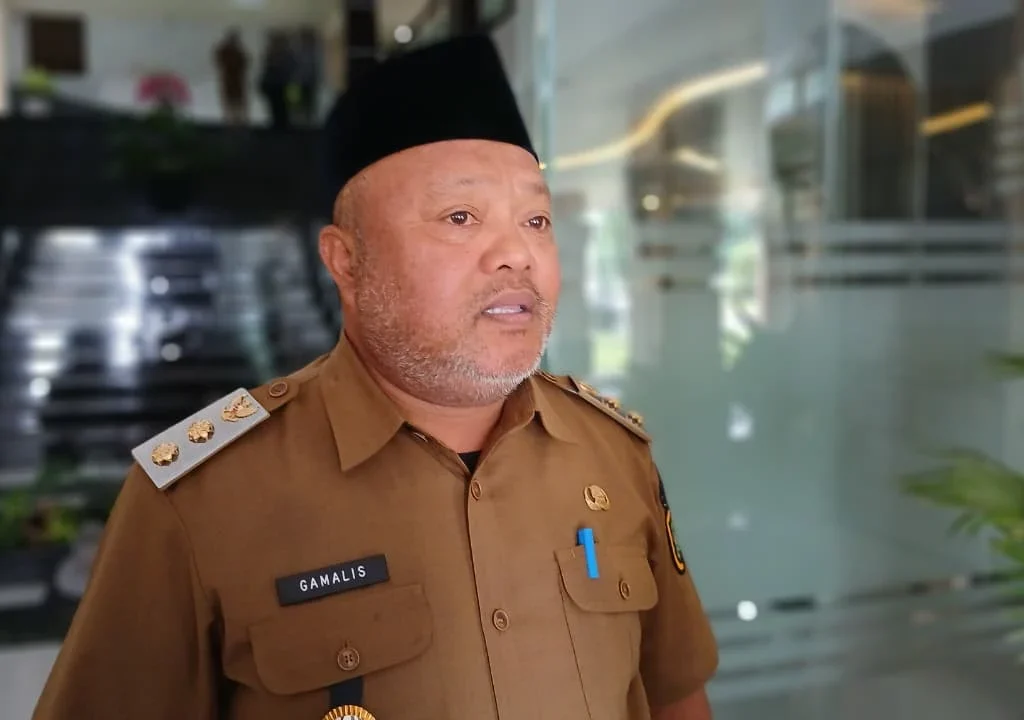 Wakil Bupati Berau, Gamalis. (Adrikni/BT)