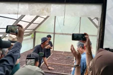 Jurus Pemerintah Populerkan Kopi Liberika Berau