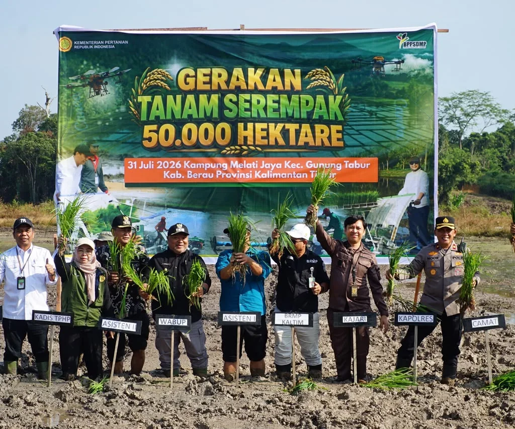 Gerakan Tanam Serentak yang dilakukan di Kampung Melati Jaya, Kecamatan Gunung Tabur, Jumat (31/7/2026).