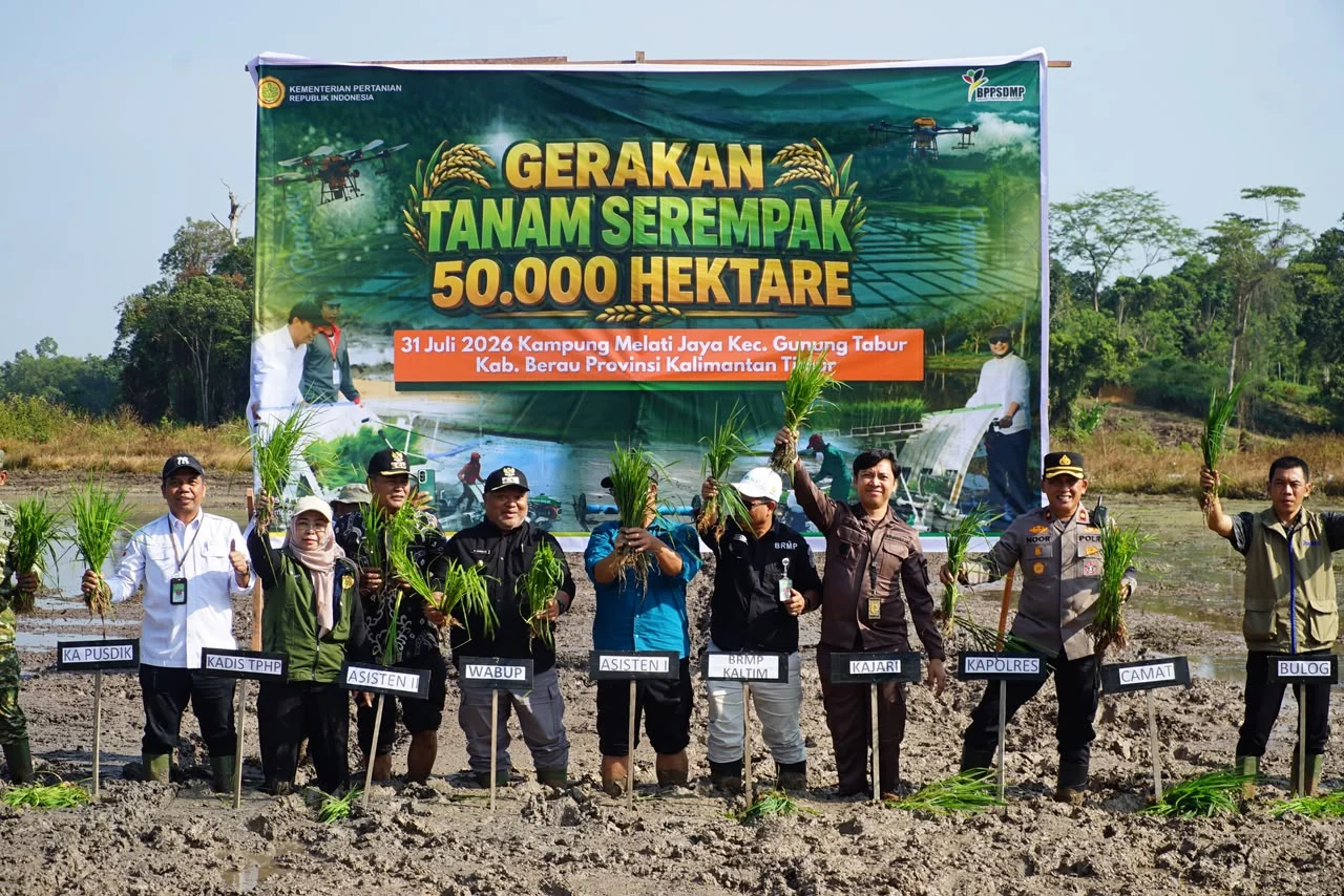 Gerakan Tanam Padi Serentak Awali Pengembangan 111 Hektare Sawah Baru di Berau