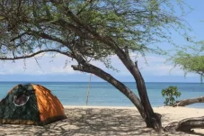 Bakal Jadi Magnet Wisata Baru, Disbudpar Siapkan Camping Groud untuk Wisata Pesisir Berau