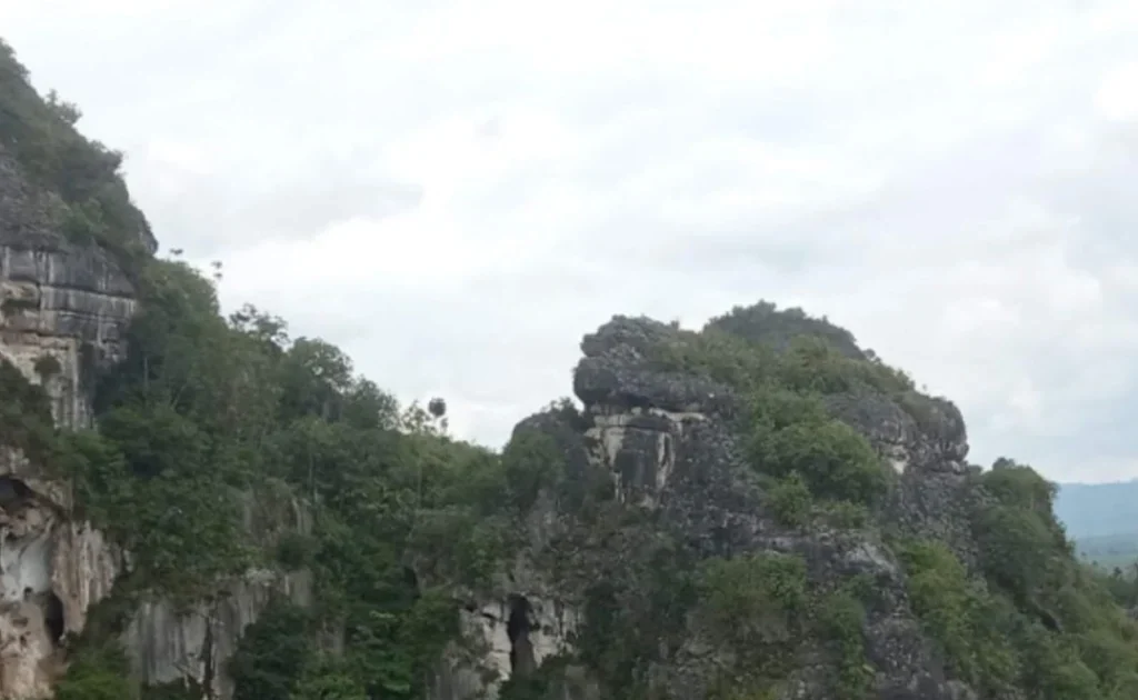 Gugusan Karst Sangkulirang-Mangkalihat ini diupayakan menjadi Geo Park oleh Pemprov Kaltim.