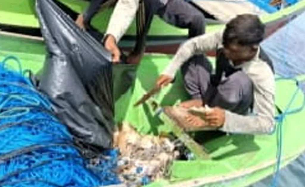 Kegiatan monitoring UPTD KKP3K KPDS Provinsi Kaltim, di Pulau Derawan (Ist)