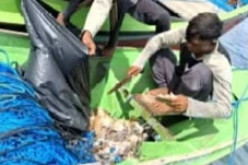 Beda Pendapat DKP Kaltim dan KKP3K KDPS soal Penangkapan Hiu di Perairan Berau