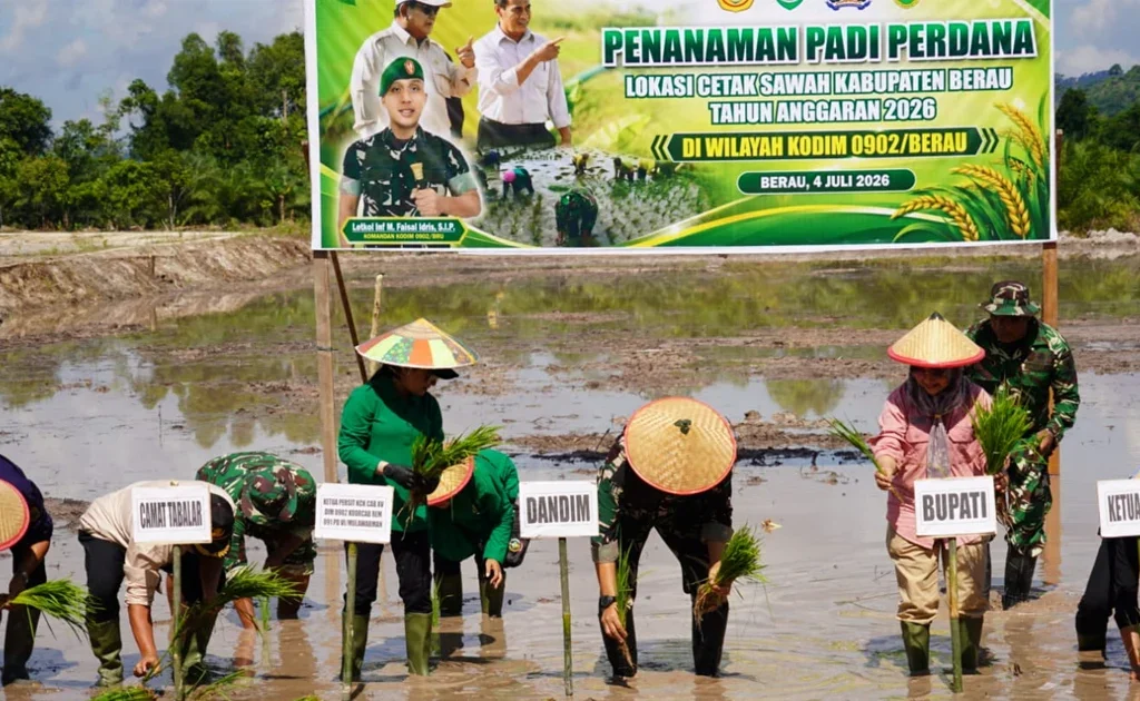 Penanaman yang dilakukan jajaran Kodim 0902/BRU bersama unsur Forkopimda di lahan cetak sawah baru di Kampung Semurut, Sabtu (4/7/2026). (Ist)