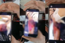 Serangan Buaya Terus Berulang, Susahnya Membangun Penangkaran di Berau