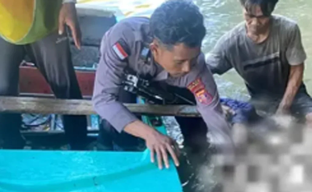 Seorang nelayan di Maratua Berau teewas diterkam buaya saat cari kerang (Dok. Polres Berau)