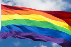 Aliansi Perempuan Indonesia Kecam Maraknya Aksi Persekusi LGBT