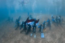 Dari Maratua untuk Indonesia, Berau Divers Rawat Terumbu Karang dan Kibarkan Merah Putih di Bawah Laut