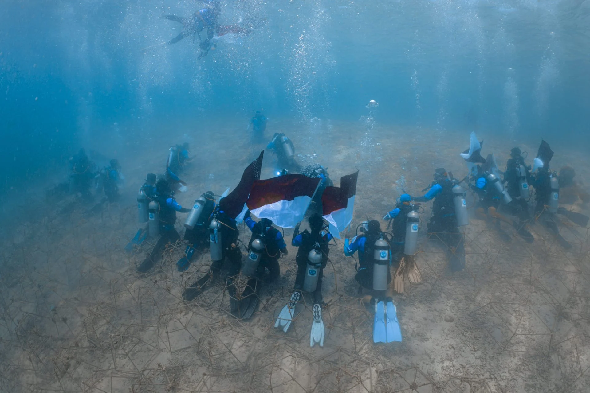 Dari Maratua untuk Indonesia, Berau Divers Rawat Terumbu Karang dan Kibarkan Merah Putih di Bawah Laut