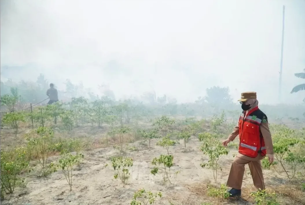 Bupati Berau, Sri Juniarsih, meninjau lokasi karhutla di Kilometer 9 Kampung Labanan, Kecamatan Teluk Bayur, Selasa (18/8/2026). (Prokopim)