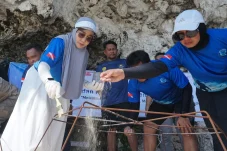 Puji Aksi Bawah Laut Berau Divers di Pulau Maratua, Sri Juniarsih: Terus Kampanyekan Kelestarian Laut