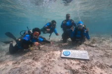 Ajak Warga Jaga Lingkungan, Berau Divers Ingatkan Ancaman Pengrusakan Ekosistem Laut