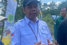 Kementan Minta 111 Hektare Sawah di Melati Jaya Terus Ditanami Demi Dongkrak Produktivitas