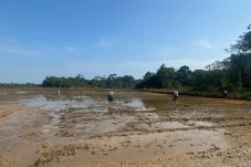 Kementan Salurkan Alsintan hingga Pompa Air Dukung Produktivitas Sawah di Berau