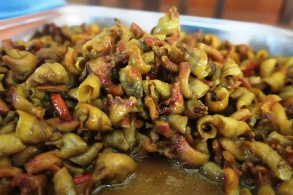 Kima Kuliner Pulau Derawan