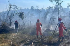 Karhutla Berau Mulai Sasar Kawasan Pemukiman, Warga Diminta Ikut Lakukan Pencegahan