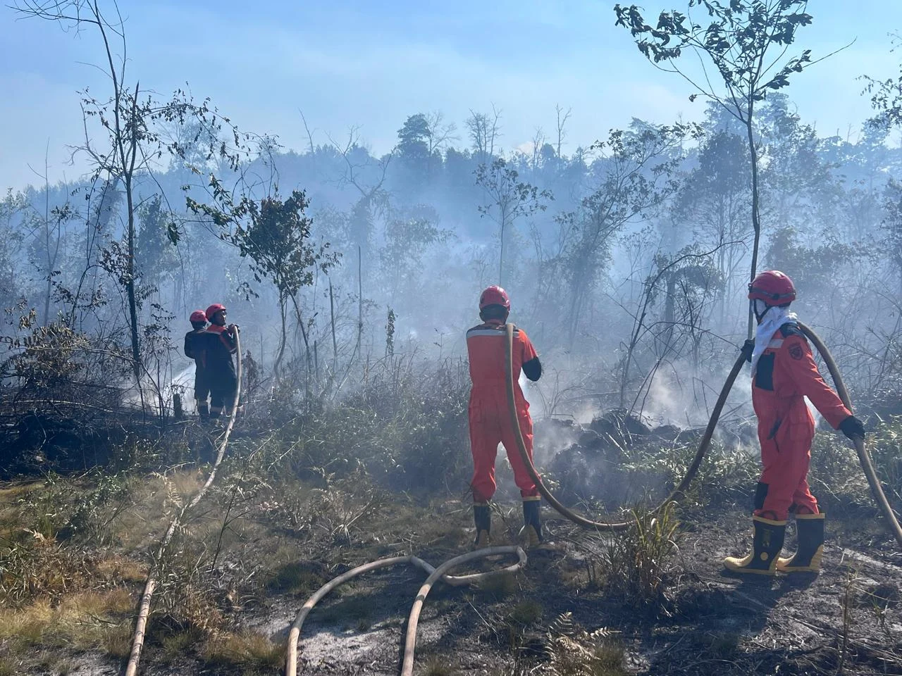 Karhutla Berau Mulai Sasar Kawasan Pemukiman, Warga Diminta Ikut Lakukan Pencegahan