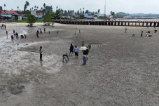 Ikut ‘Mengguris Bikin’ di HUT Kampung Talisayan, Gamalis Dorong Tradisi Pesisir Masuk Kalender Wisata Berau