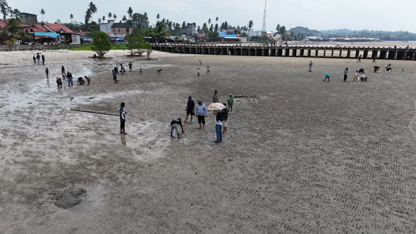 Ikut ‘Mengguris Bikin’ di HUT Kampung Talisayan, Gamalis Dorong Tradisi Pesisir Masuk Kalender Wisata Berau