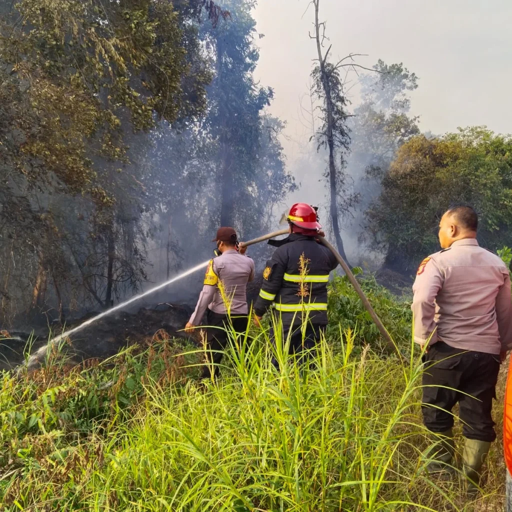 Petugas gabungan sedang melakukan pemadaman kebakaran hutan dan lahan (karhutla) Berau. (IST)
