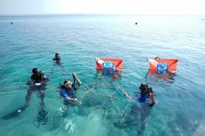 Jaga Terumbu Karang Maratua, Berau Divers dan Green Nirvana Kuatkan Kolaborasi Konservasi