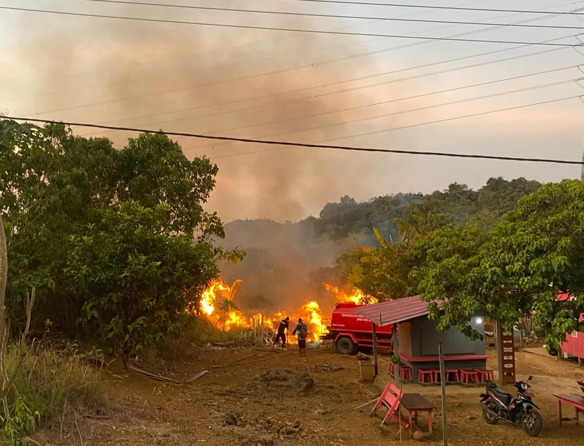 Ada Kebakaran Lahan di Lamin, Aliran Listrik PLN di Labanan hingga Segah Padam