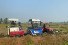Punya 336 Hektare Sawah, Produksi Padi Labanan Jaya Turun Akibat Kemarau