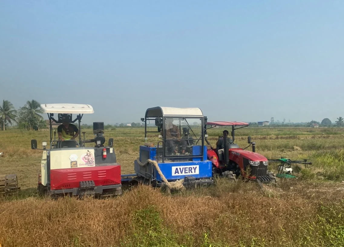Punya 336 Hektare Sawah, Produksi Padi Labanan Jaya Turun Akibat Kemarau