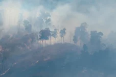 Titik Panas di Berau Kembali Naik Jadi 117 Titik, Suhu Maksimum Capai 36,9 Derajat Celsius