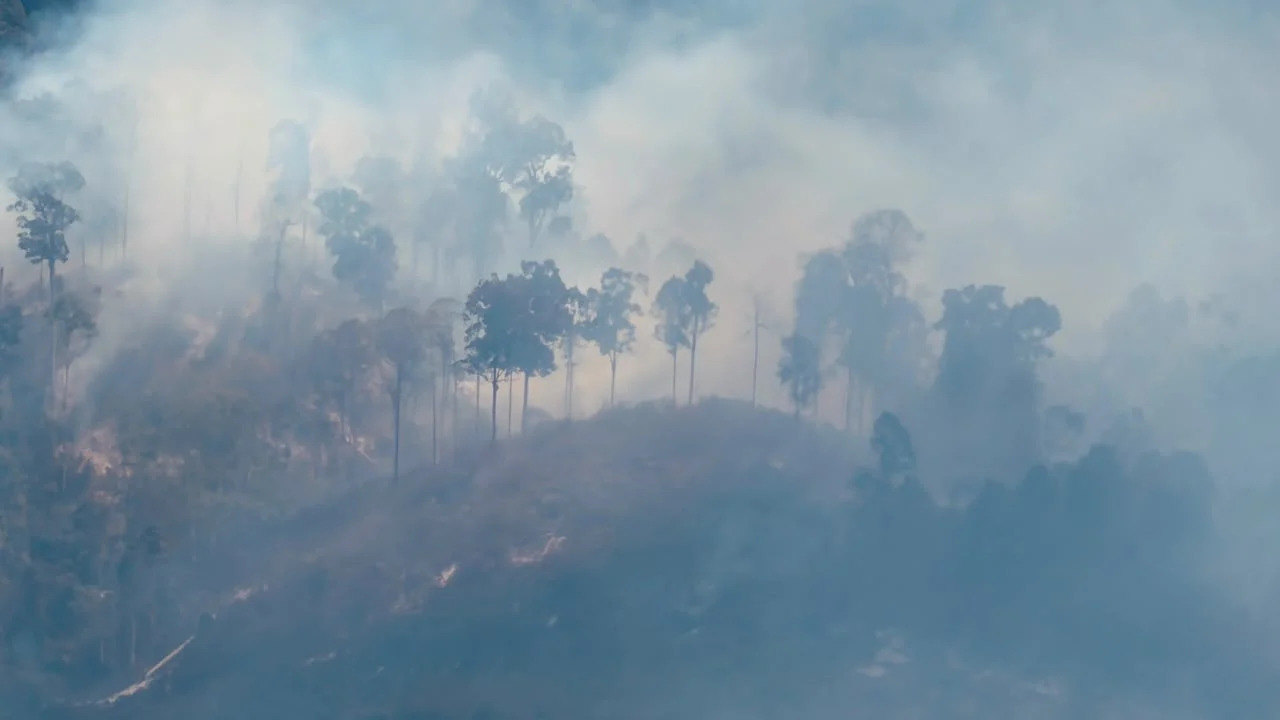 Titik Panas di Berau Kembali Naik Jadi 117 Titik, Suhu Maksimum Capai 36,9 Derajat Celsius
