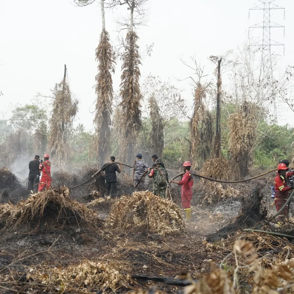 Tim ERG Berau Coal bersama tim gabungan saat melakukan pemadaman api karhutla Berau.
