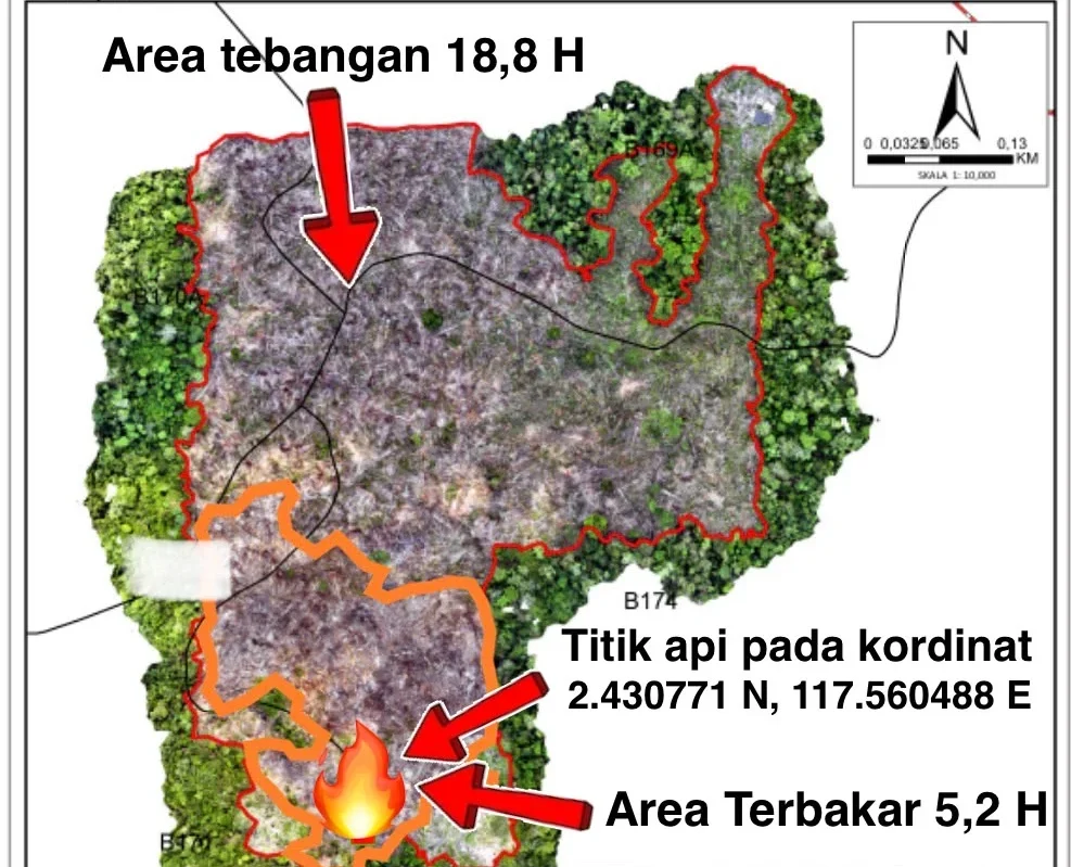 Nekat Bakar 2 Hektare Lahan Konsesi PT TRH, Pria di Maluang Diciduk Polisi