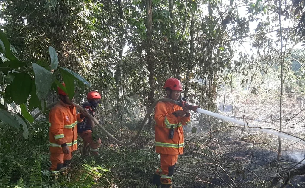 Proses pemadaman yang dilakukam tim TRC Penanggulangan Bencana BPBD Berau saat menjinakkan Karhutla (Ist)