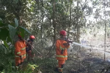 Karhutla Berau Makin Serius, Disdamkarmat Ungkap 12 dari 13 Kecamatan Terdampak