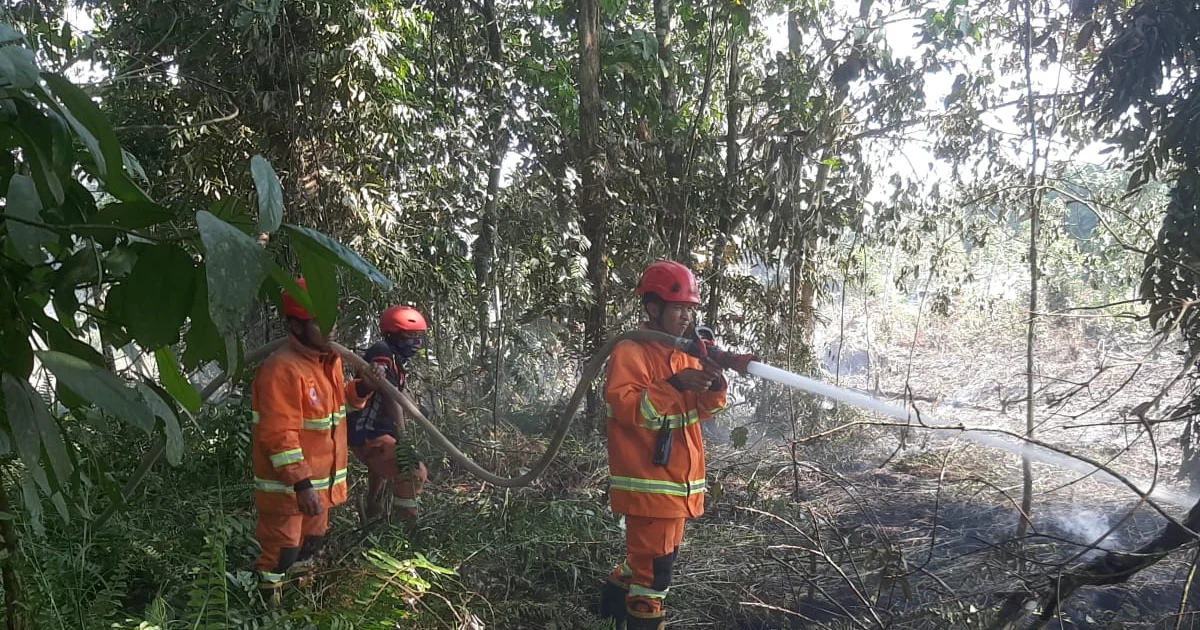 Karhutla Berau Makin Serius, Disdamkarmat Ungkap 12 dari 13 Kecamatan Terdampak