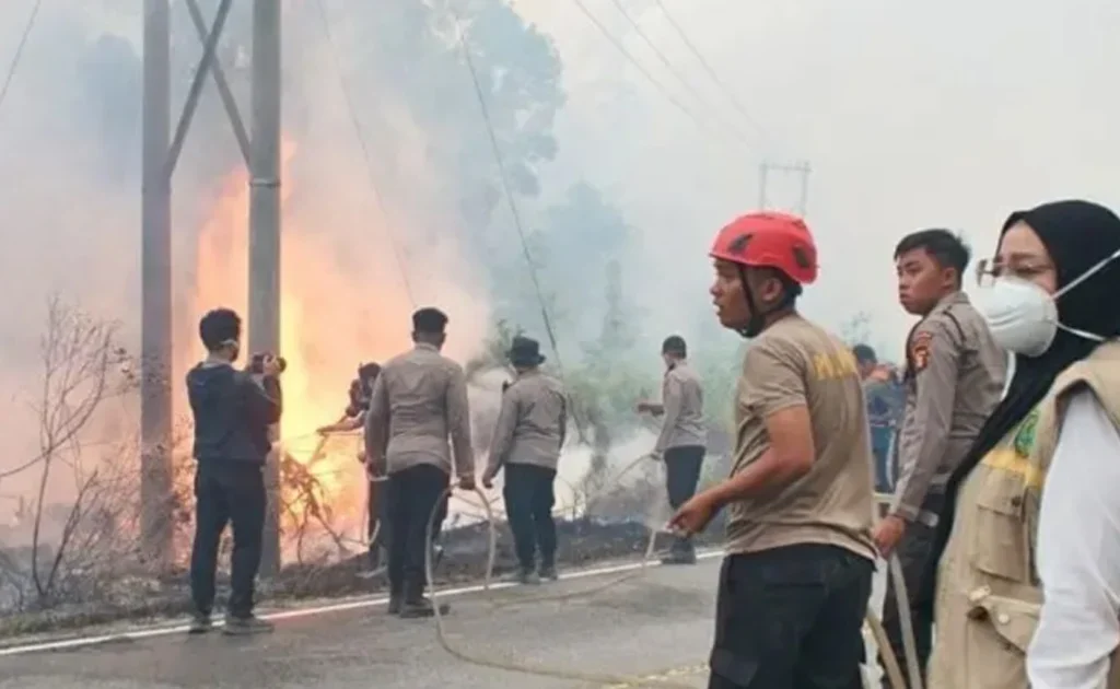 Bupati Berau Sri Juniarsih saat ikut serta memadamkan api karhutla di Jalan Poros Kasai-Tanjung Batu (Instagram/@prokopim_berau)
