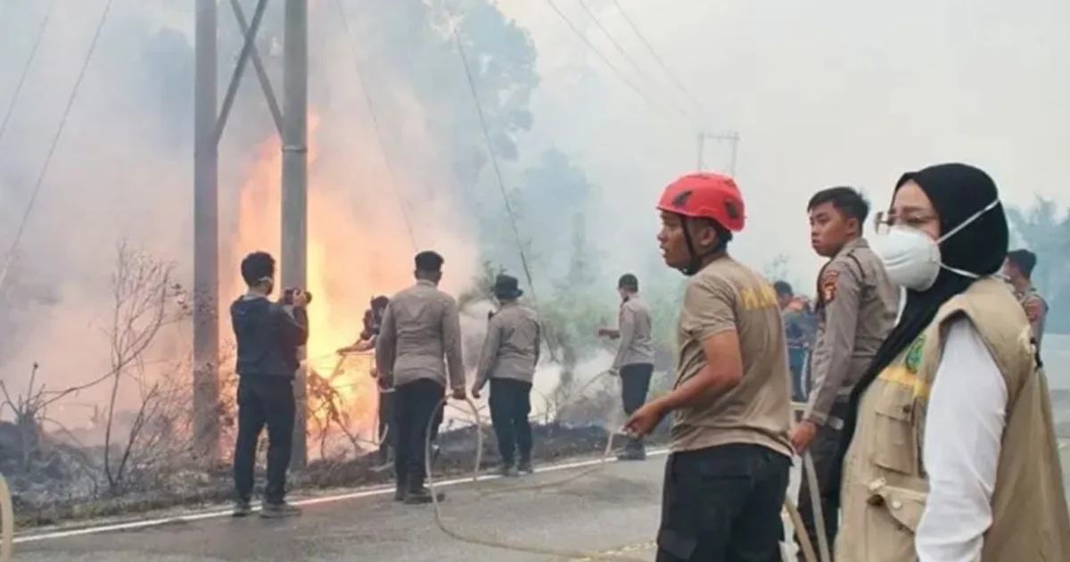 Bupati Ungkap Sulitnya Padamkan Api Karhutla di Berau, Minta Bantuan Water Bombing