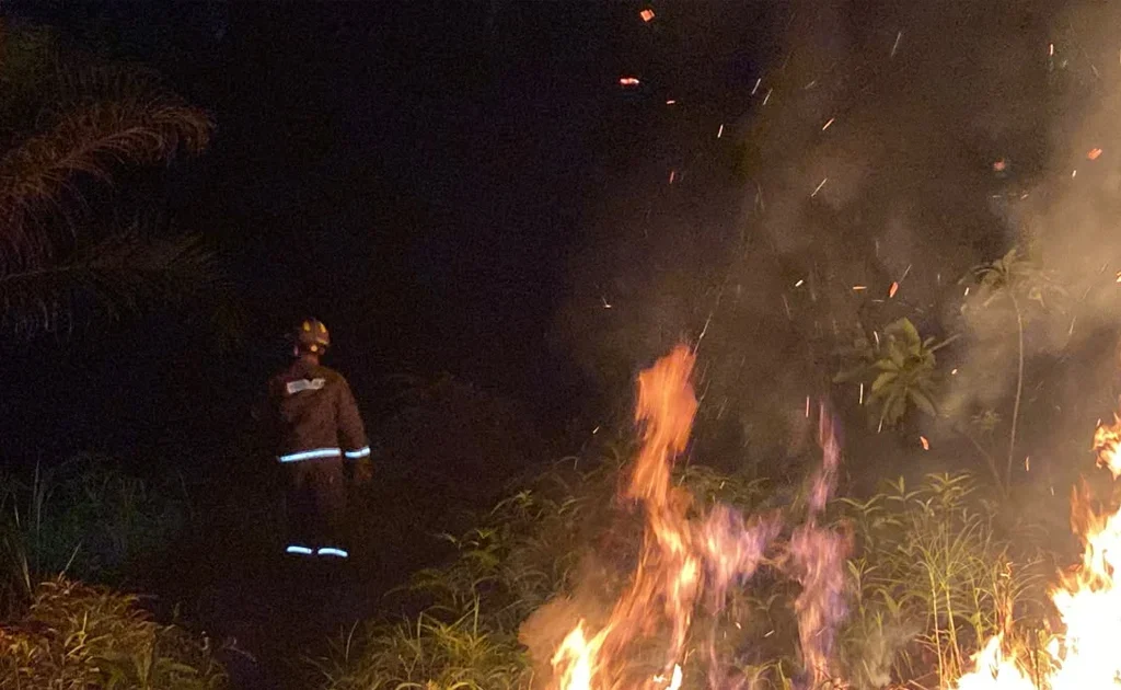 Kebakaran hutan dan lahan atau karhutla (Ist)
