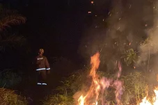 Waspada Karhutla! Berau Rekor Wilayah Terpanas, 174 Titik Panas Tersebar di 11 Kecamatan