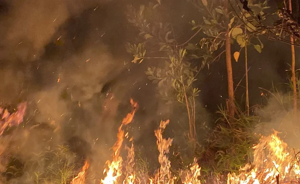 Kebakaran hutan dan lahan atau karhutla (Ist)